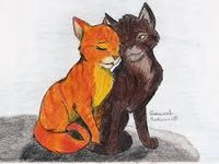 Squirrelflight and Brambleclaw