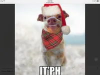 Christmas! Christmas!