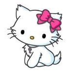 hello cat hello cat