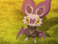 Noibat Noibat