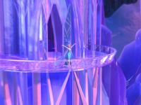 Let It Go (Queen Elsa of Arendelle) Let It Go (Queen Elsa of Arendelle)