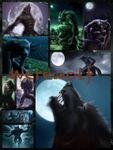 A werewolf (me: YEAH!) A werewolf (me: YEAH!)