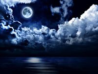 night night