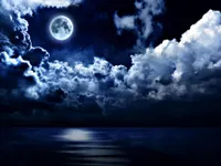 night night