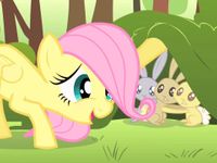 Fluttershy Fluttershy
