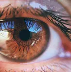 brown eyes brown eyes