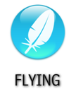Flying Flying