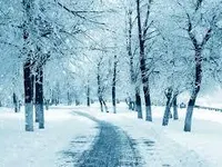Winter Winter