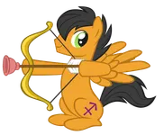 Sagittarius Sagittarius