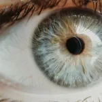 grey eyes grey eyes