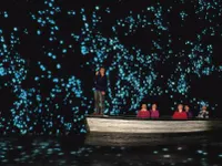 Glow Worm Cave Glow Worm Cave