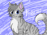 Feathertail Feathertail