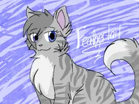 Feathertail Feathertail