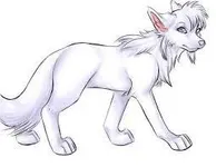 White White