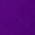 Purple Purple