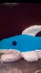Mr.Sharky Mr.Sharky