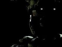 Spring trap Spring trap