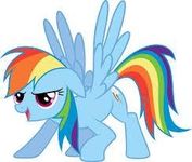 Rainbowdash Rainbowdash
