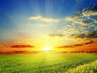 Waking up with a big sun at 8h00 AM, gets overcast by 12h00 PM and starts to rain at 2h00 PM for the rest of the evening Waking up with a big sun at 8h00 AM, gets overcast by 12h00 PM and starts to rain at 2h00 PM for the rest of the evening