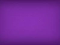 purple purple