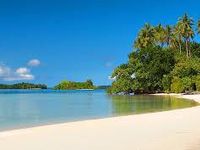 a) Live in tropical paradise all by yourself a) Live in tropical paradise all by yourself