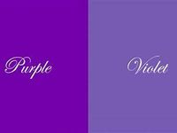 I use both I use both