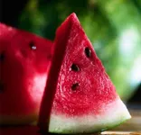 Watermelon Watermelon