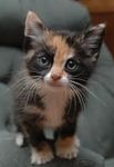 cuteness!!