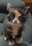 cuteness!!