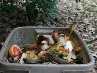 Eat some food from the trash