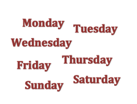 I'm on every week! I'm on every week!