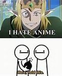 I hate anime! I hate anime!
