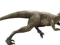 Raptors! They're SOOO boss! Raptors! They're SOOO boss!