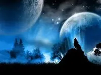 Wolves are mysterious