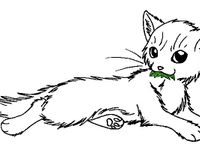 Medicine cat Medicine cat