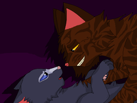 Tigerstar x Bluestar