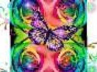 Butterfly Butterfly