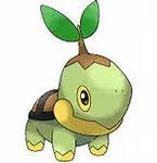 Turtwig Turtwig