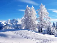 Winter Winter