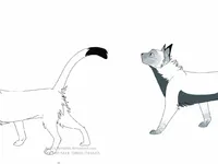 CATS!
