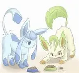 GlaceonXLeafeon