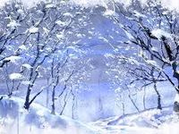 Cold and Snowy Cold and Snowy