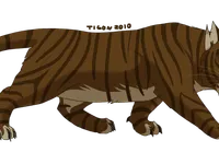 Tigerstar Tigerstar