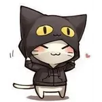 Cat hoodie Cat hoodie