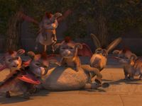 Donkey and Dragon