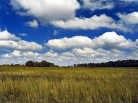Cumulus Cumulus