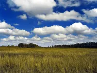 Cumulus Cumulus
