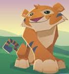 Animal Jam Animal Jam
