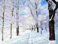 snow snow