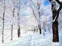 snow snow